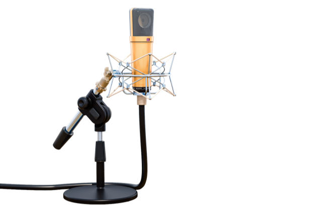 Studio condenser microphone